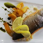 Knudsen 4*