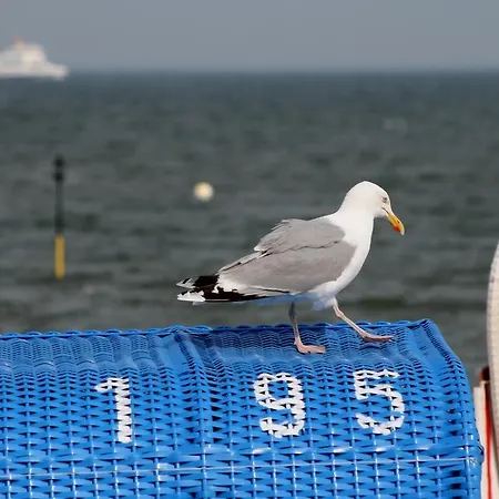 Knudsen בית הארחה Utersum